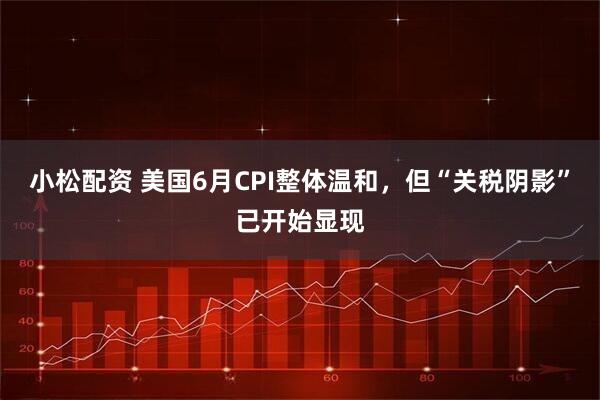 小松配资 美国6月CPI整体温和，但“关税阴影”已开始显现
